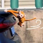 SwingMonkey™ – Cute Car Tail Monkey Decor - Image 2